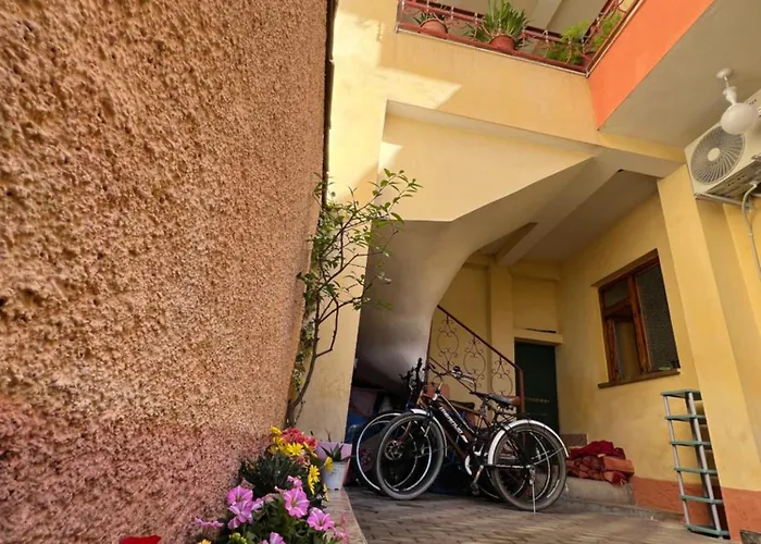 Innerbloom * 地拉那